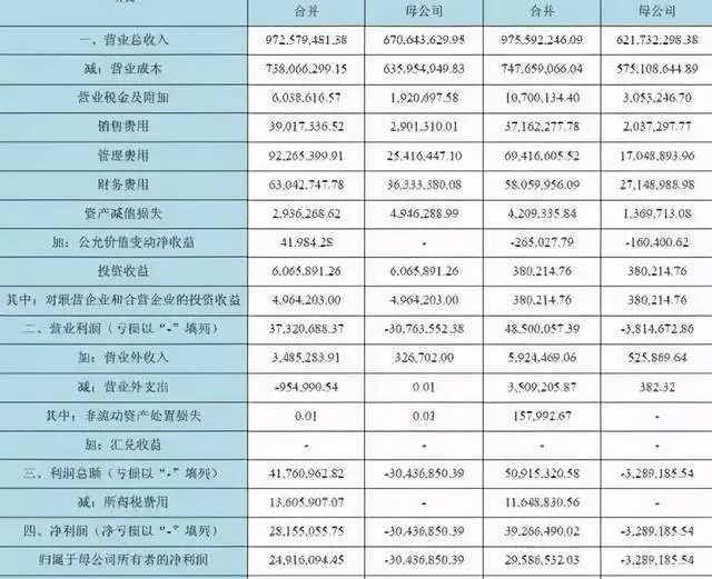 財務報表分析論文(財務管理公司分析論文)