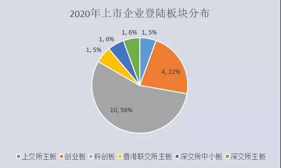 史上最大ipo(上海綠岸網絡科技 ipo)