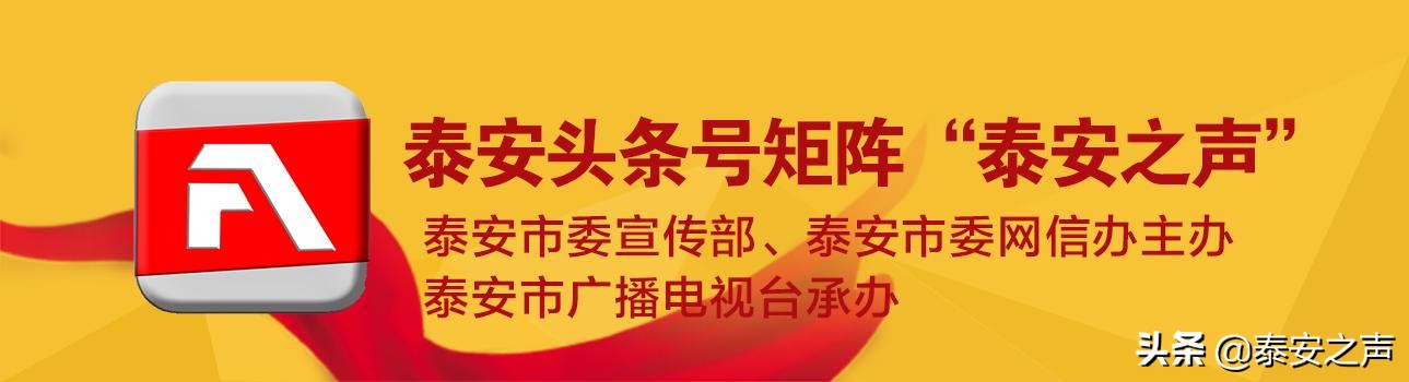 視頻|新泰市：百人稅務(wù)顧問團駐企解困保發(fā)展