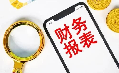 企業(yè)財(cái)務(wù)報(bào)表分析(統(tǒng)計(jì)局報(bào)表 財(cái)務(wù)填報(bào))