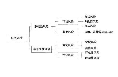 財務(wù)風(fēng)險管控小視頻